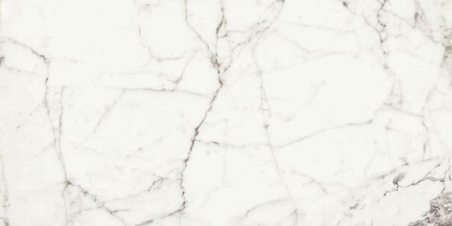117430 White Fun Lev