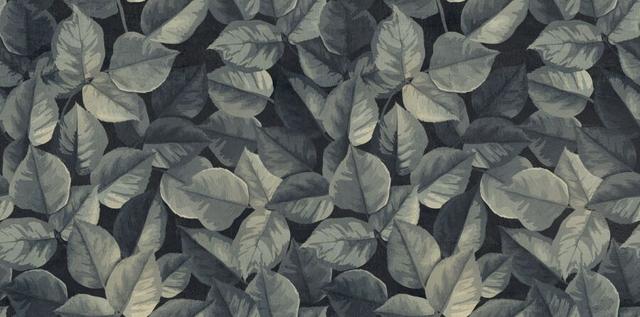 PF60008438 Foliage Ret