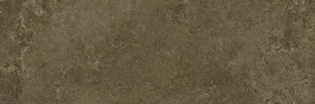 Neo Oxido