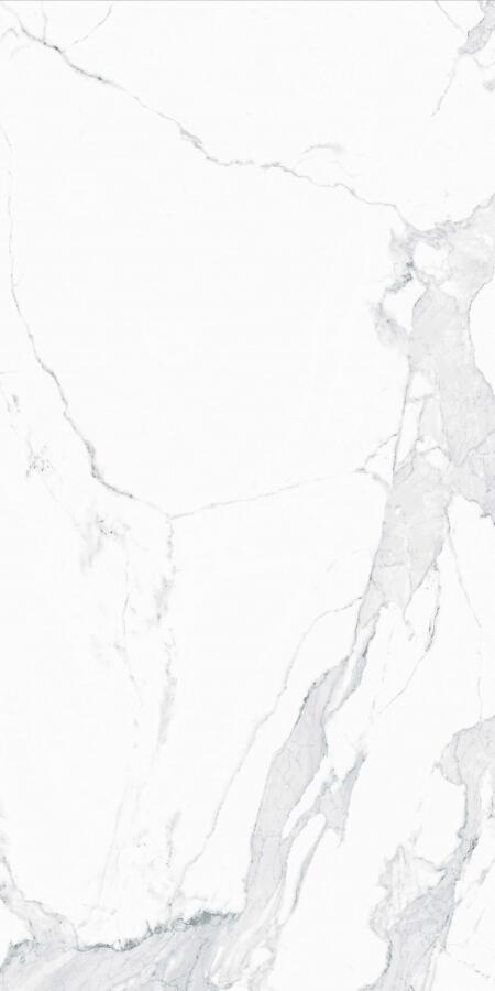 Silver FPR Full Lappato 1 MDT25F31210G