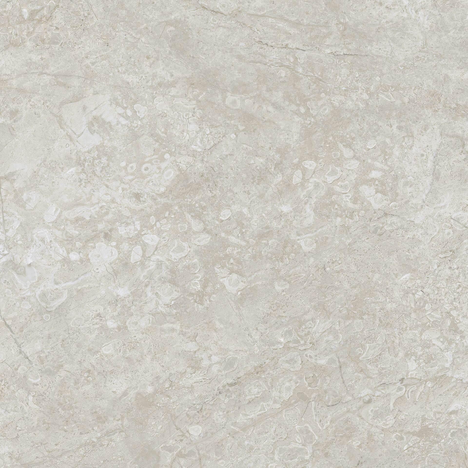 SAG19F56010A