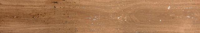 Metal Oak