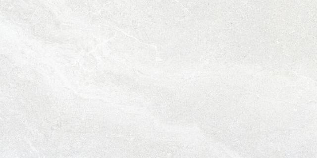 29854 WHITE AS/60X120/C/R