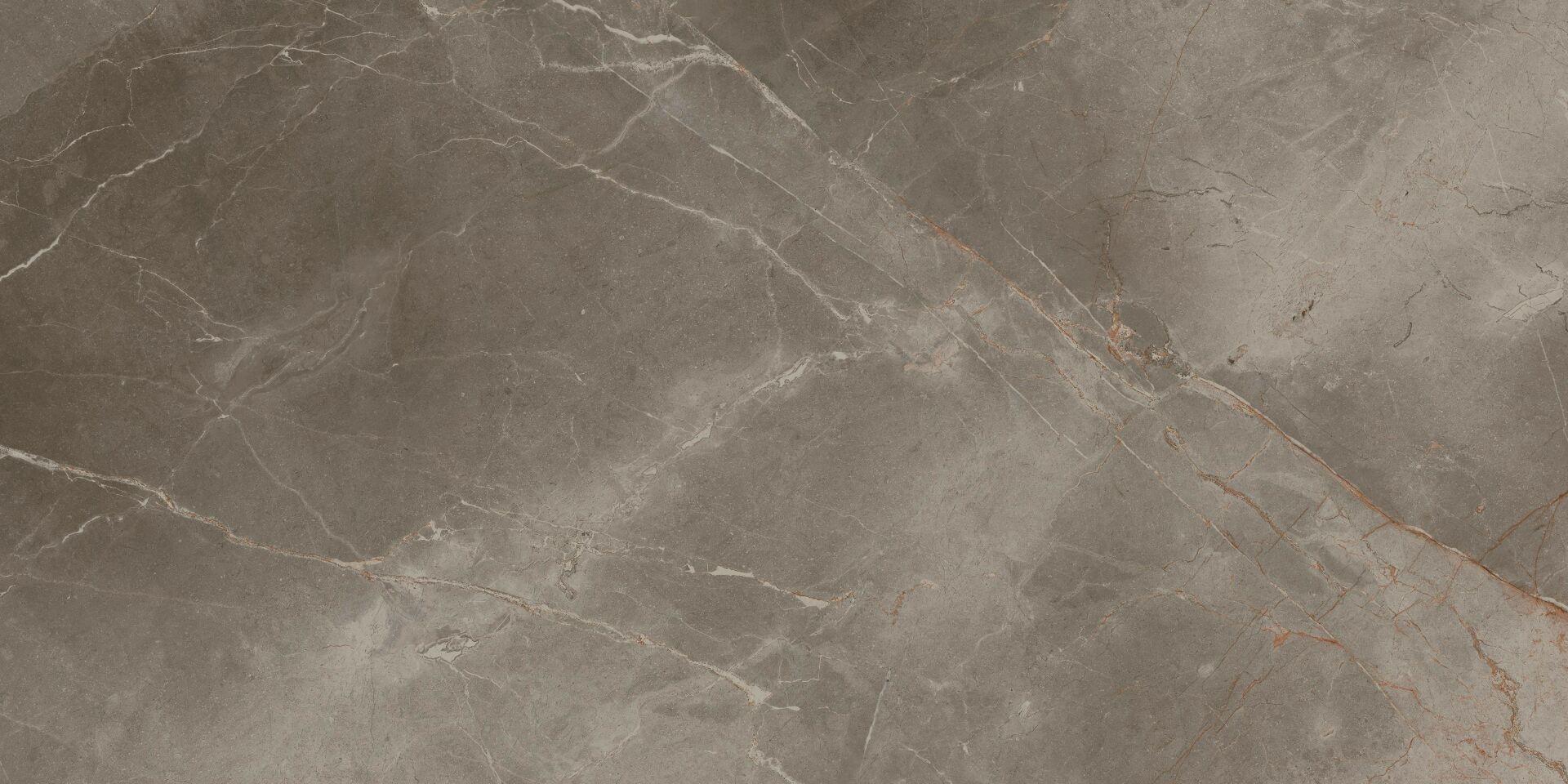 Grey Beauty 610010001843