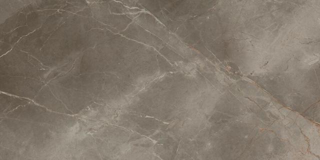 Grey Beauty 610010001843