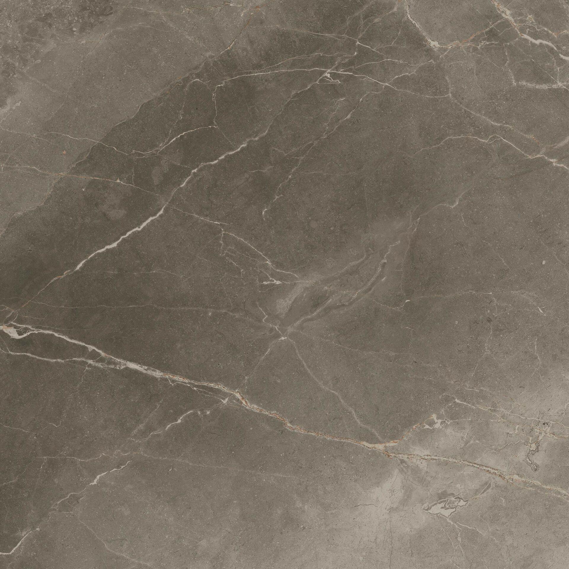 Grey Beauty 80 Рет 610010001839