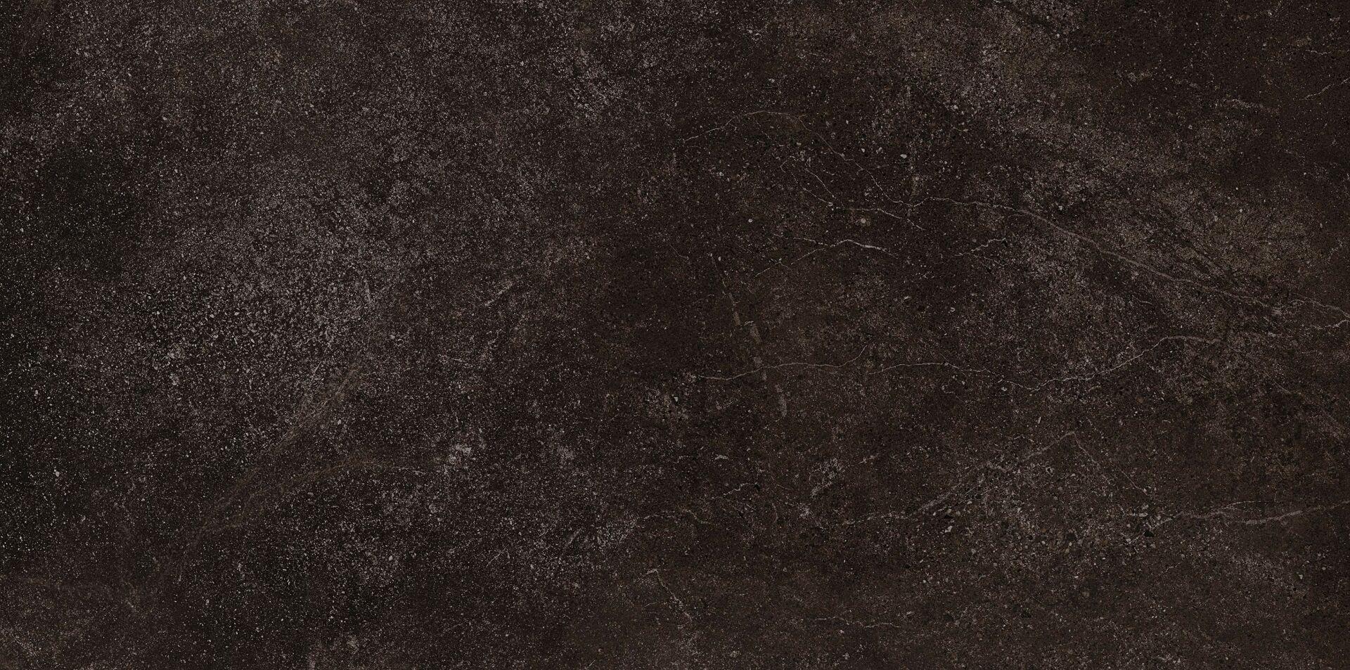 610010001446 Dark