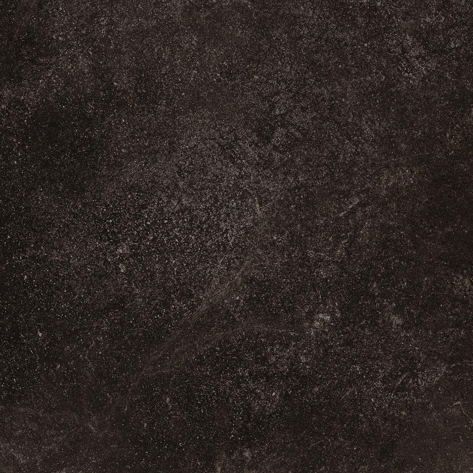 610010001450 Dark