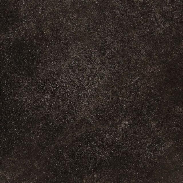 610010001450 Dark