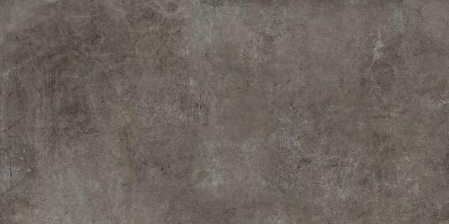 610010001664 Grey
