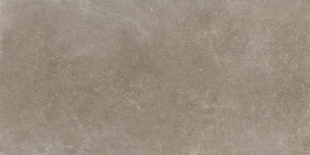610010001663 Light Grey