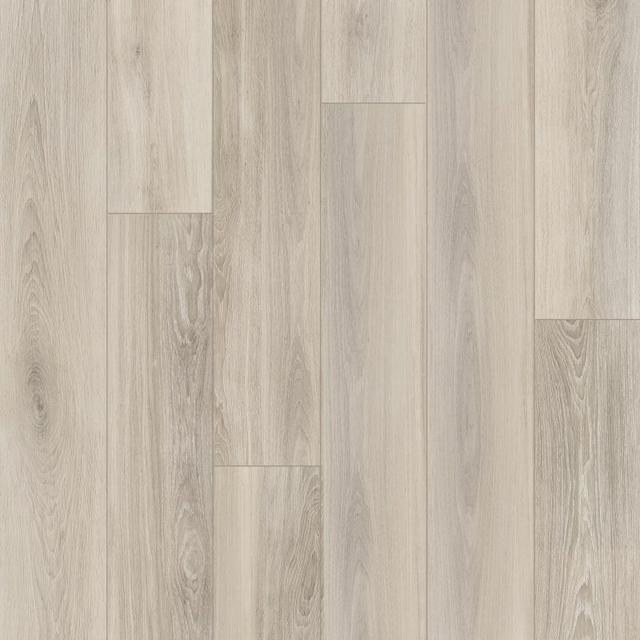 PF60004938 Almond