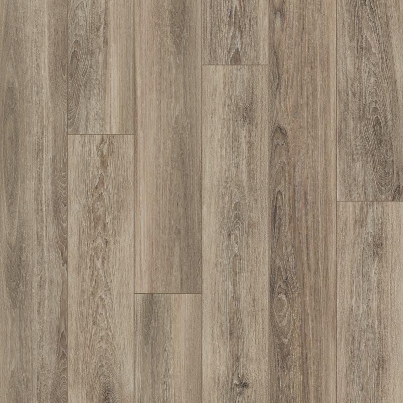 PF60004940 Avana