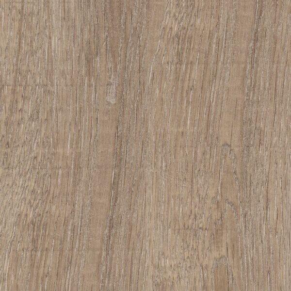 Dark Wood