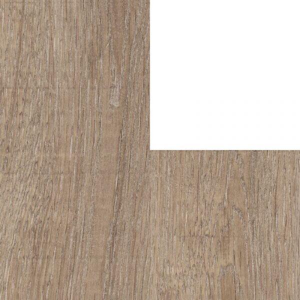 Dark Wood