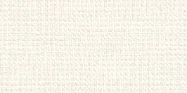 600010002160 White Texture