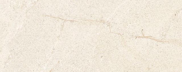 Bone P97600021