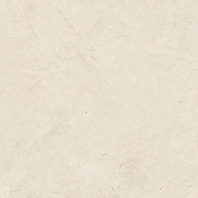 Bone P18571401