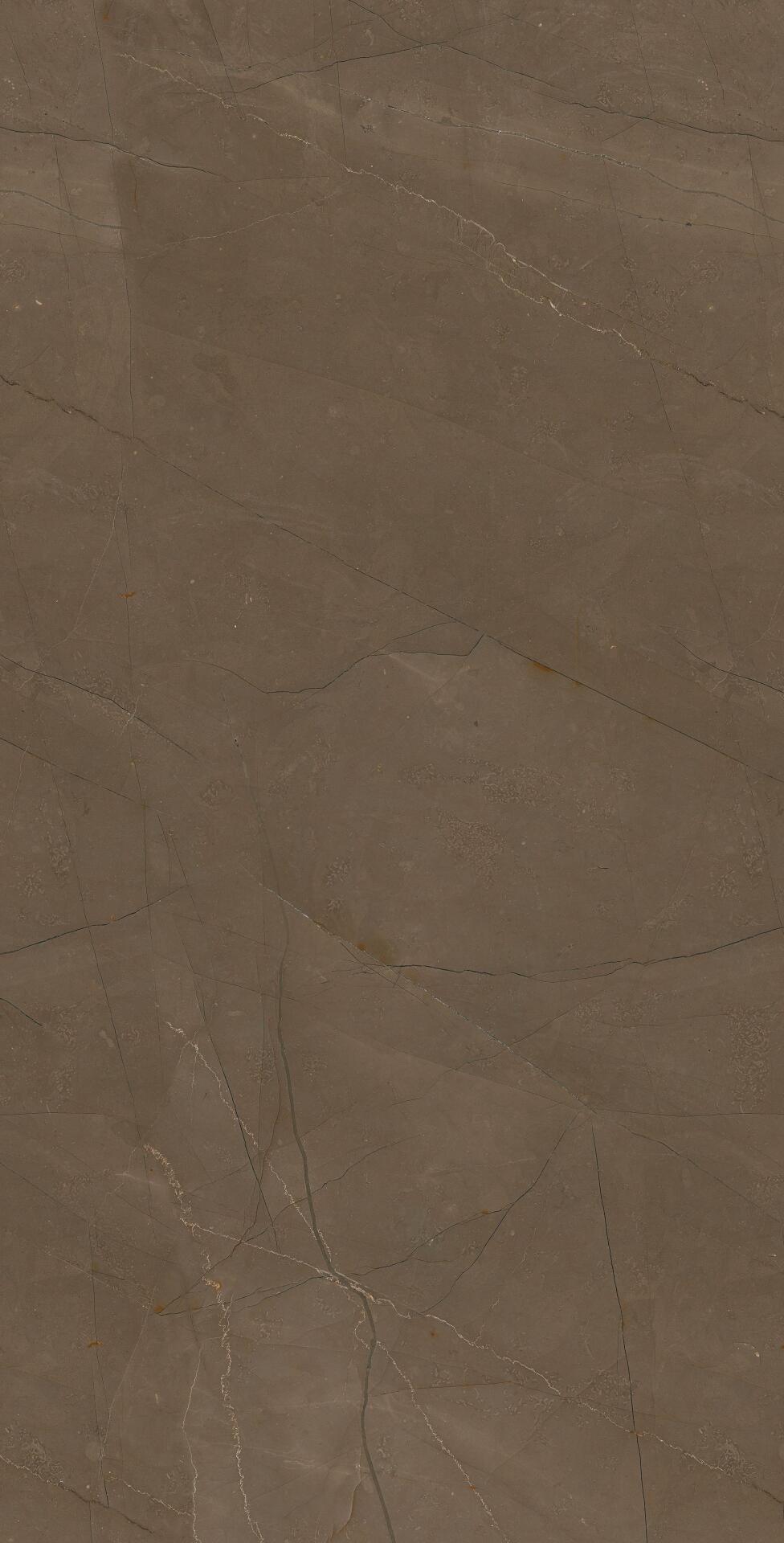 Brown W M NR Glossy 1