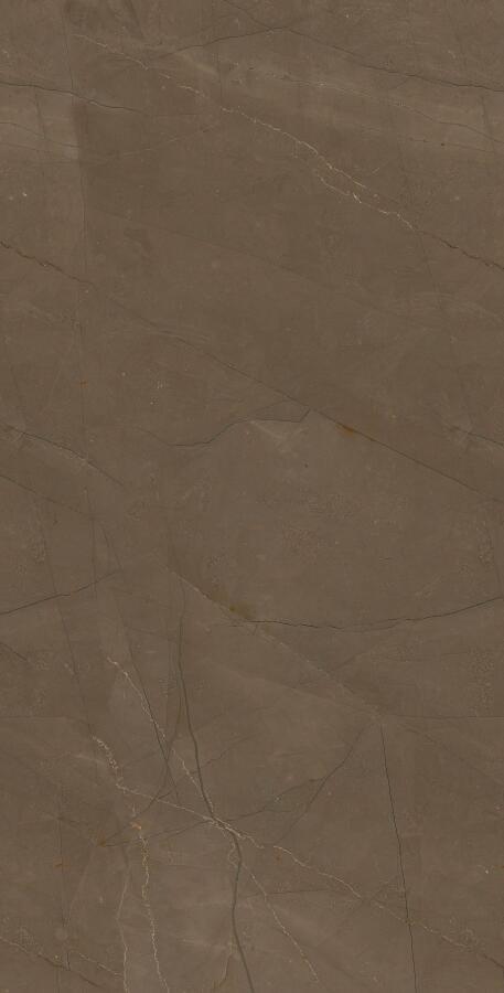 Brown W M NR Glossy 1