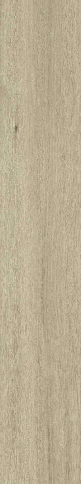 Latte GV01