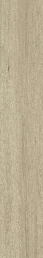 Latte GV01