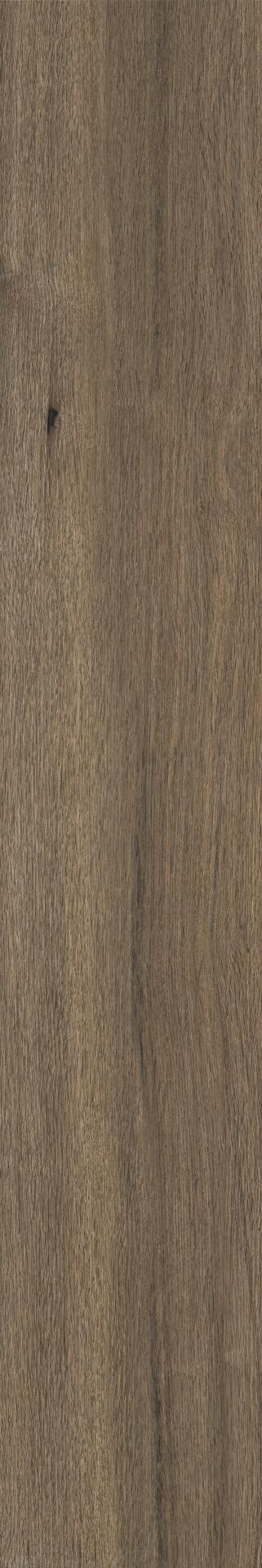 Brown GV03
