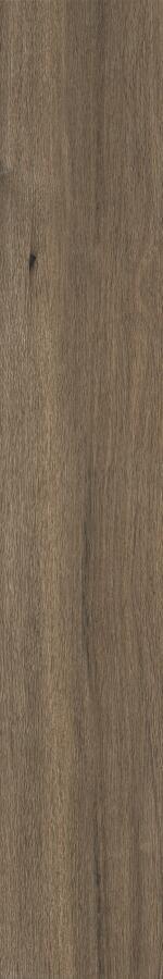 Brown GV03