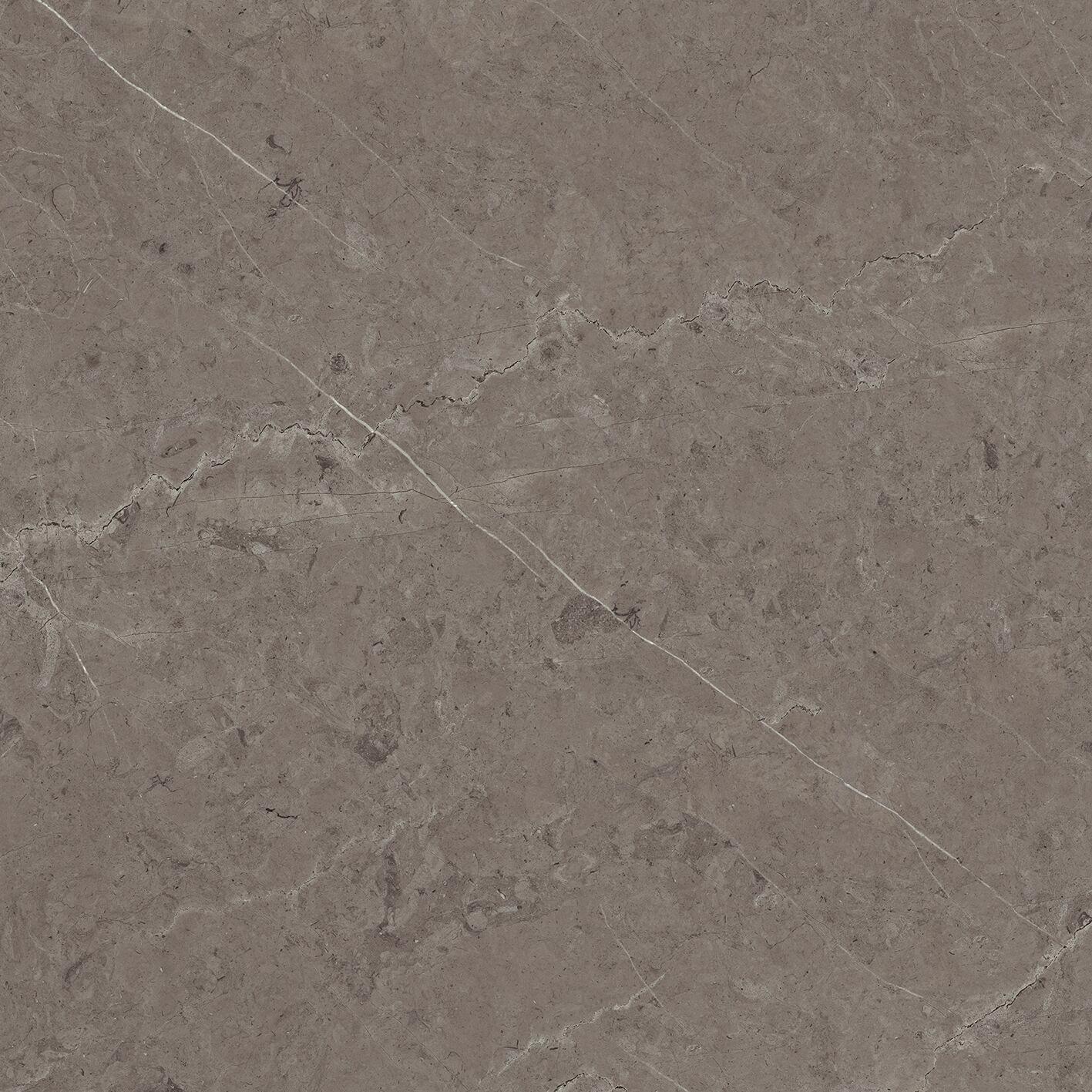 Acero P92051261