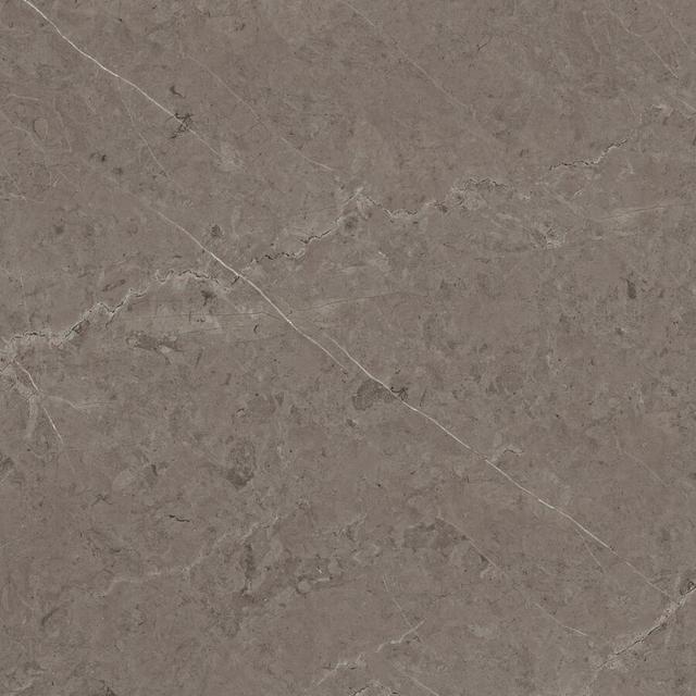 Acero P92051261