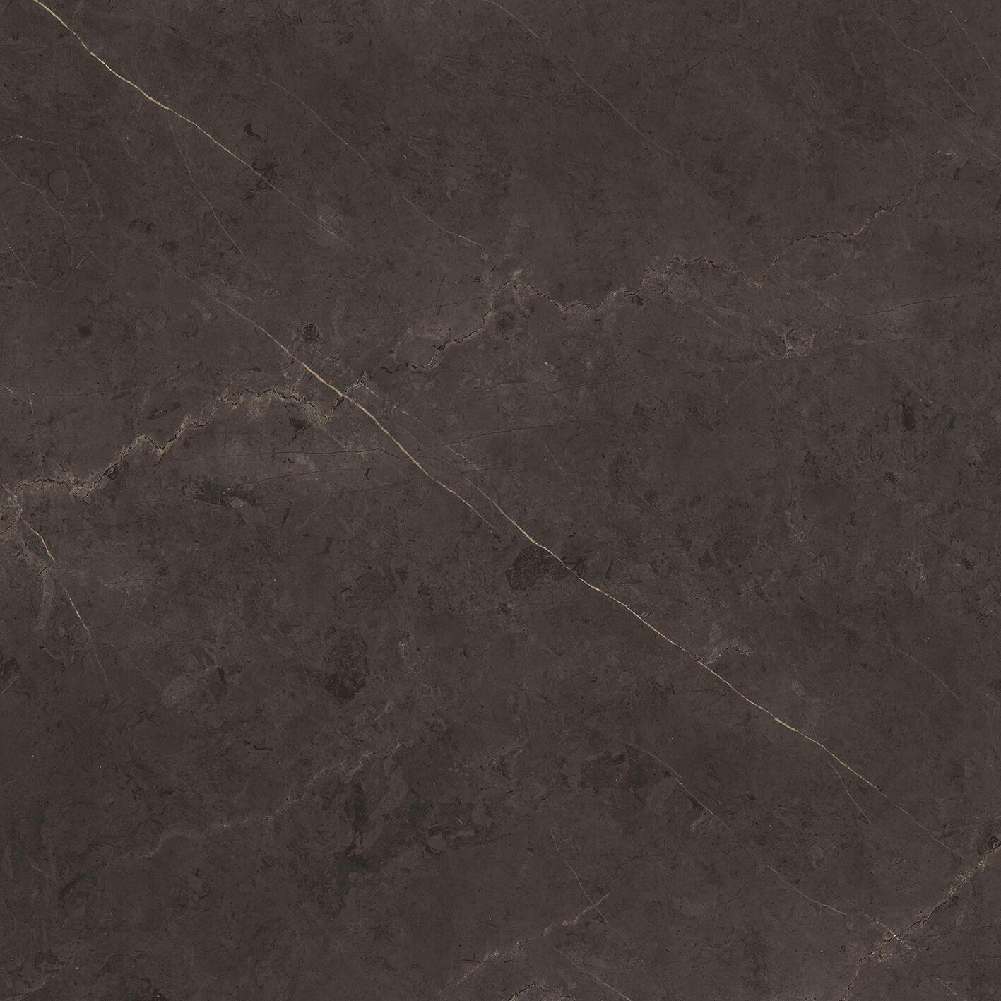 Grey P92051161