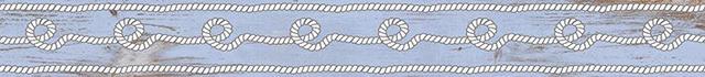 1506-0243-1001