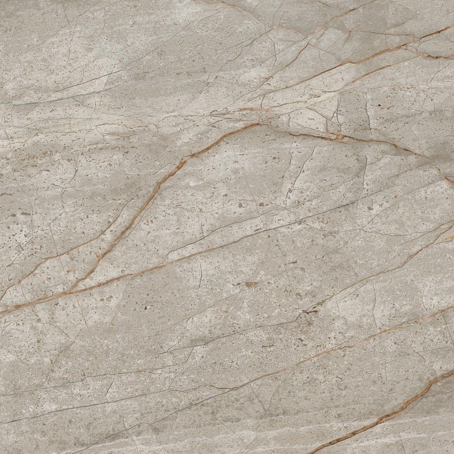 610010002194 Silver Root