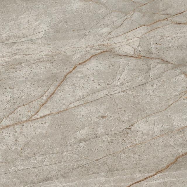 610010002194 Silver Root