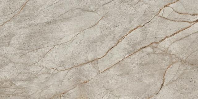 610010002187 Silver Root