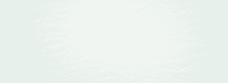 White Mt Rect
