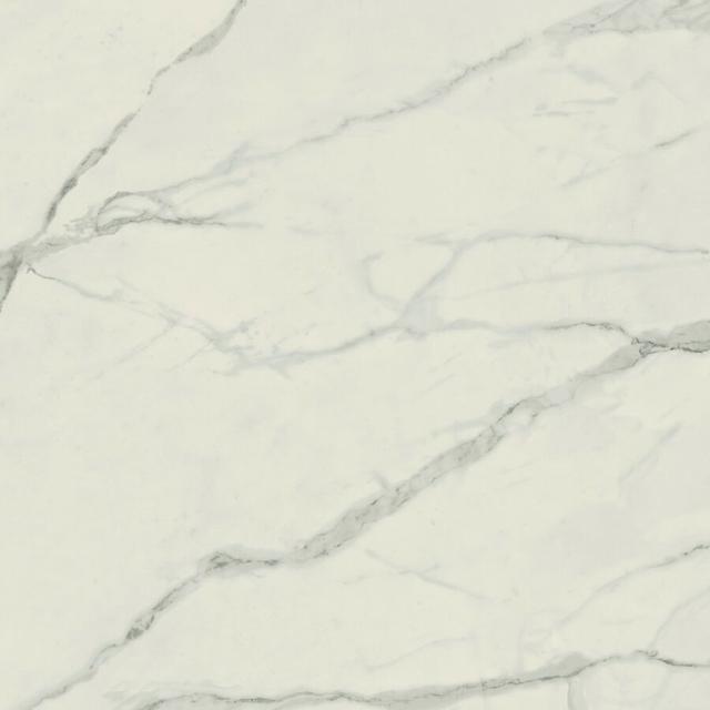610010002177 Statuario