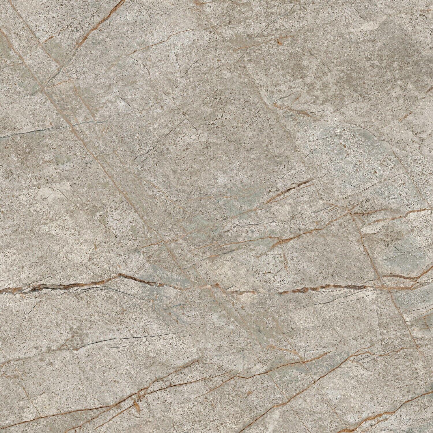 610010002180 Silver Root