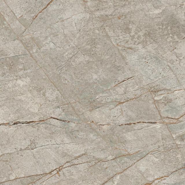 610010002180 Silver Root