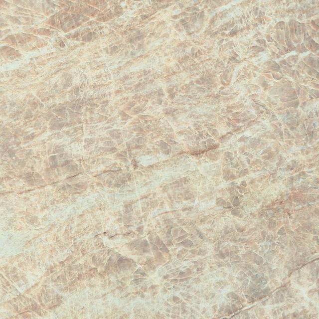 610015000610 Tajmahal Lapp