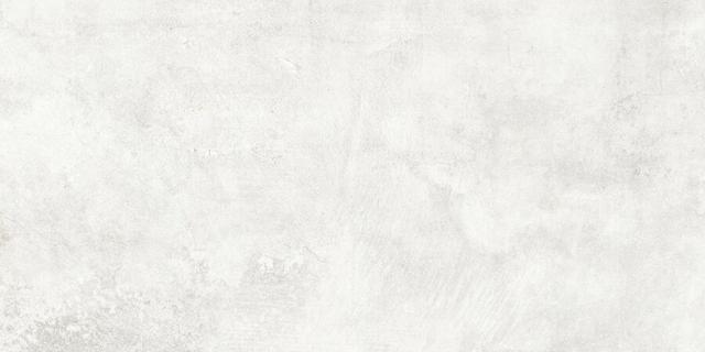 White SP/R