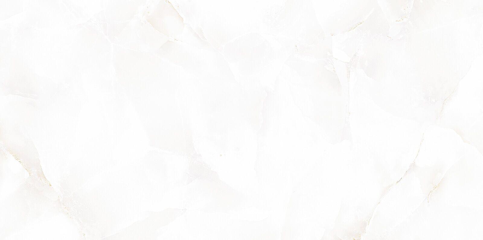 TWU09BGM004