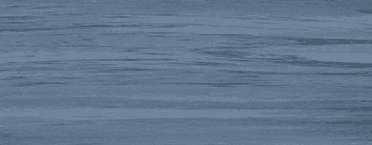 Acqua 1c