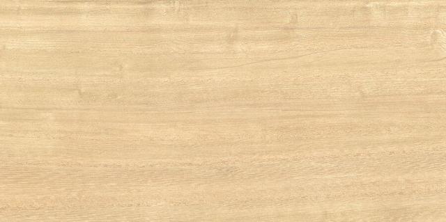 WT9TRI08 Wood