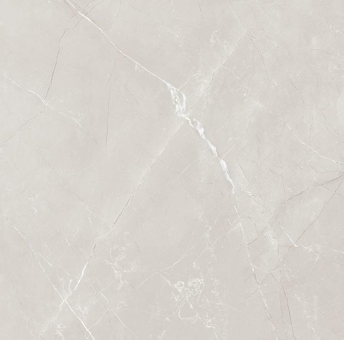 Vitrum Grey полированный