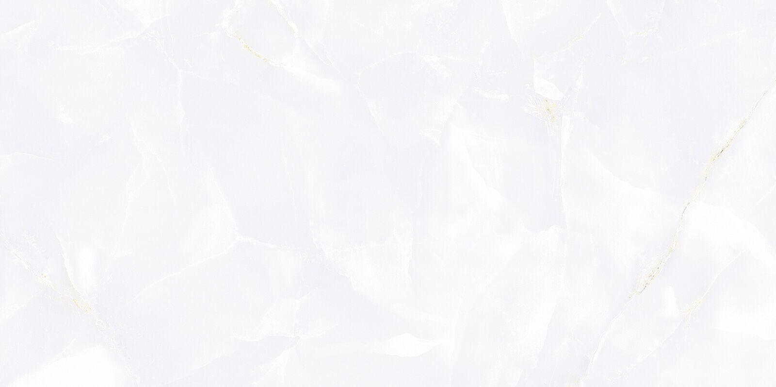 TWU09BGM007