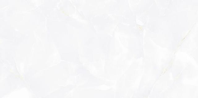 TWU09BGM007
