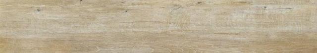 ROVERE PROVENZALE