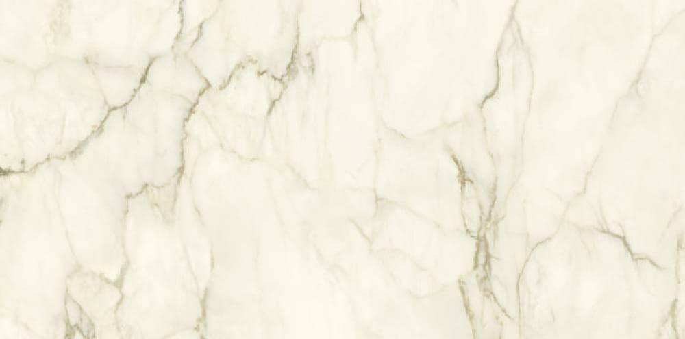 CALACATTA MACCHIA VECCHIA Lev. Silk