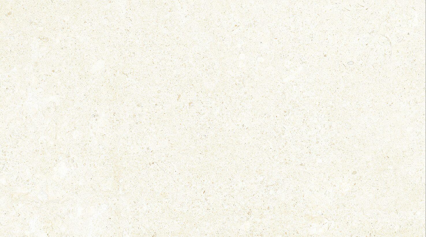 1045-0254-1001